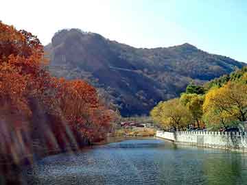 澳门二四六天天彩图库，札达seo论坛